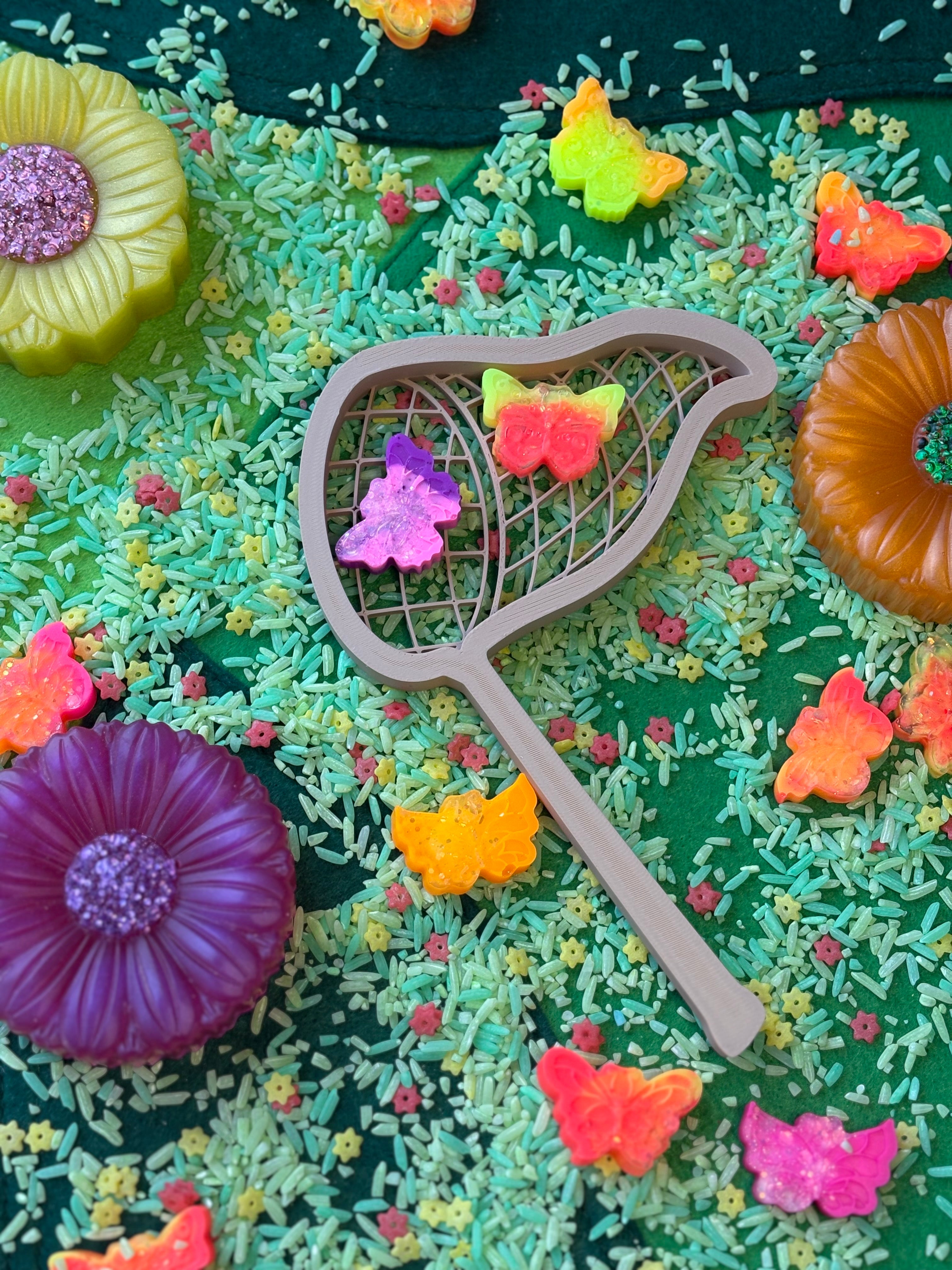 Pond dipping/butterfly net