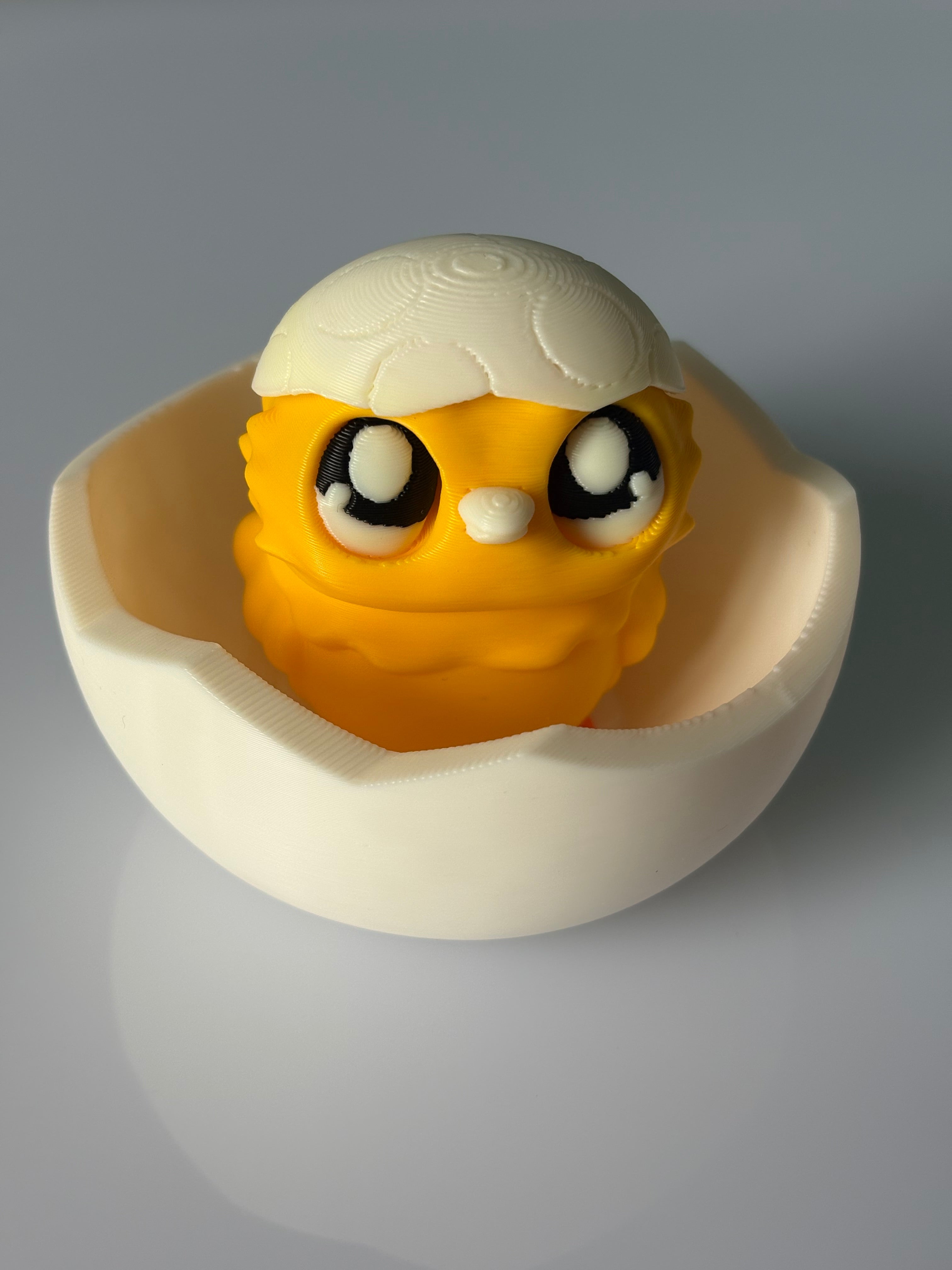 Chick in an egg shell