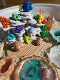 Coral reef habitat