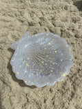 White scallop shell