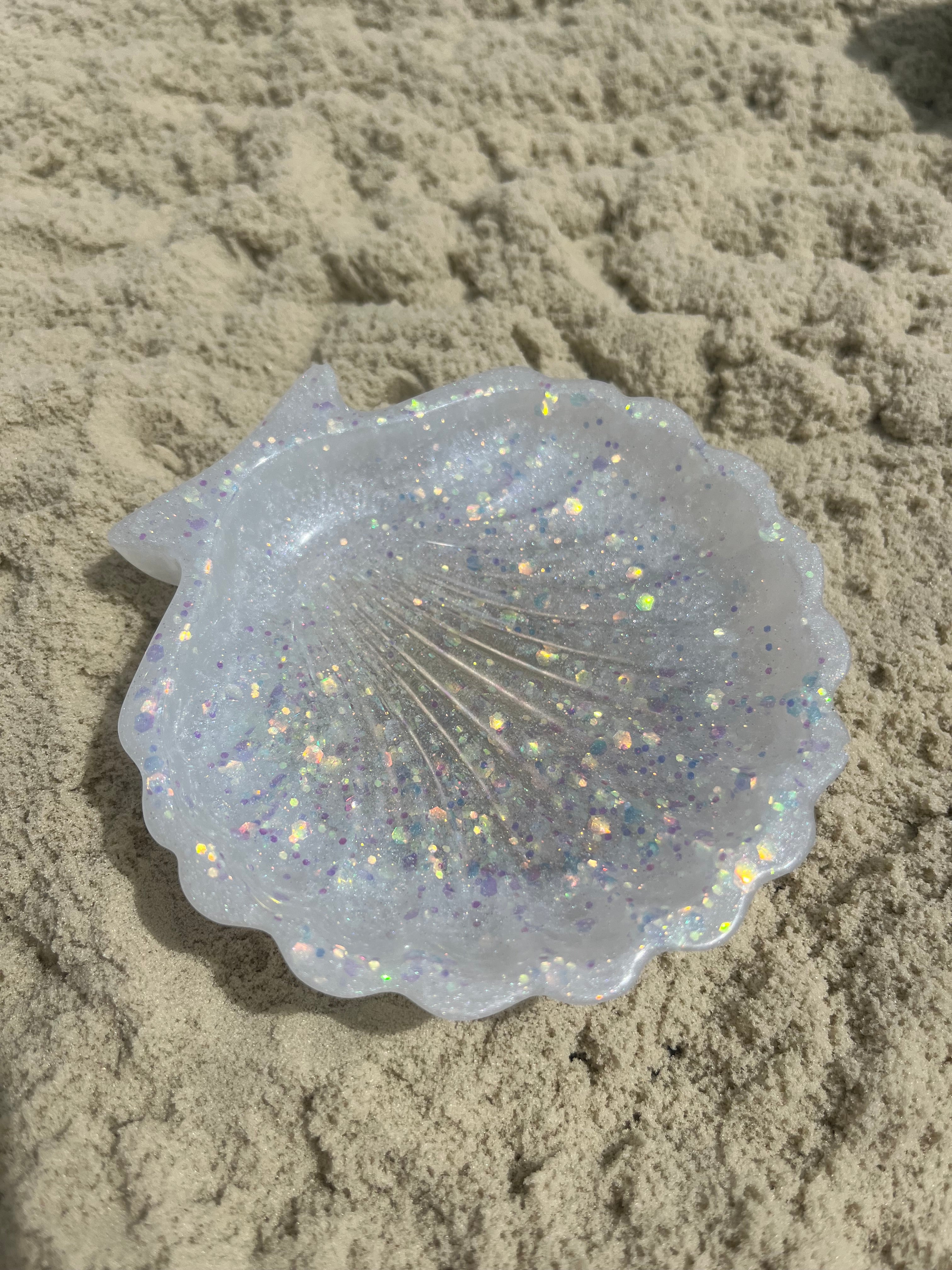 White scallop shell