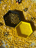 A set of honeycomb sieves