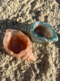 Shell