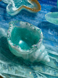 Conch shell