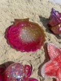 Scallop shell