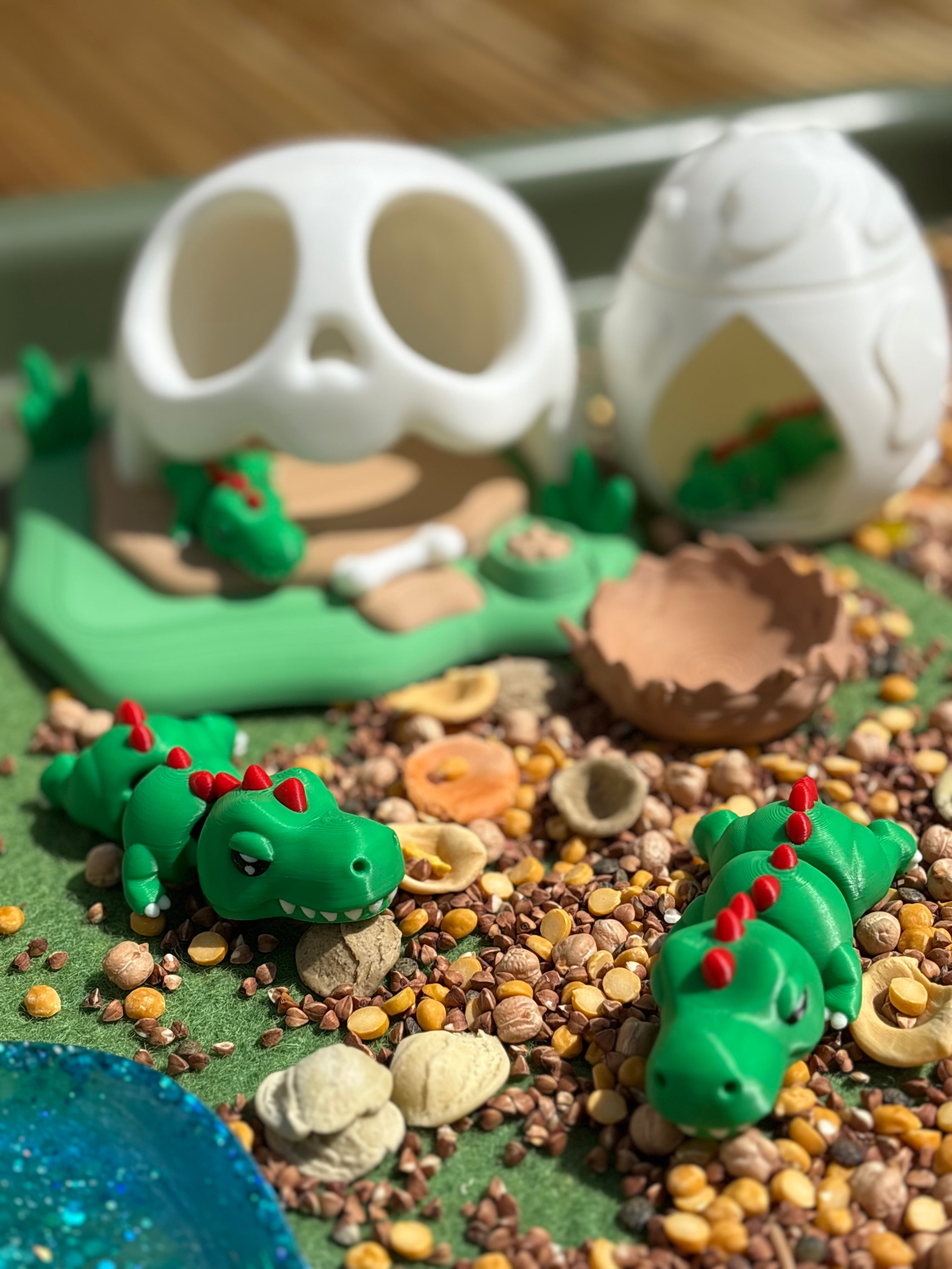 My Dino Pet Set