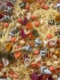Pumpkin Patch Sensory Base