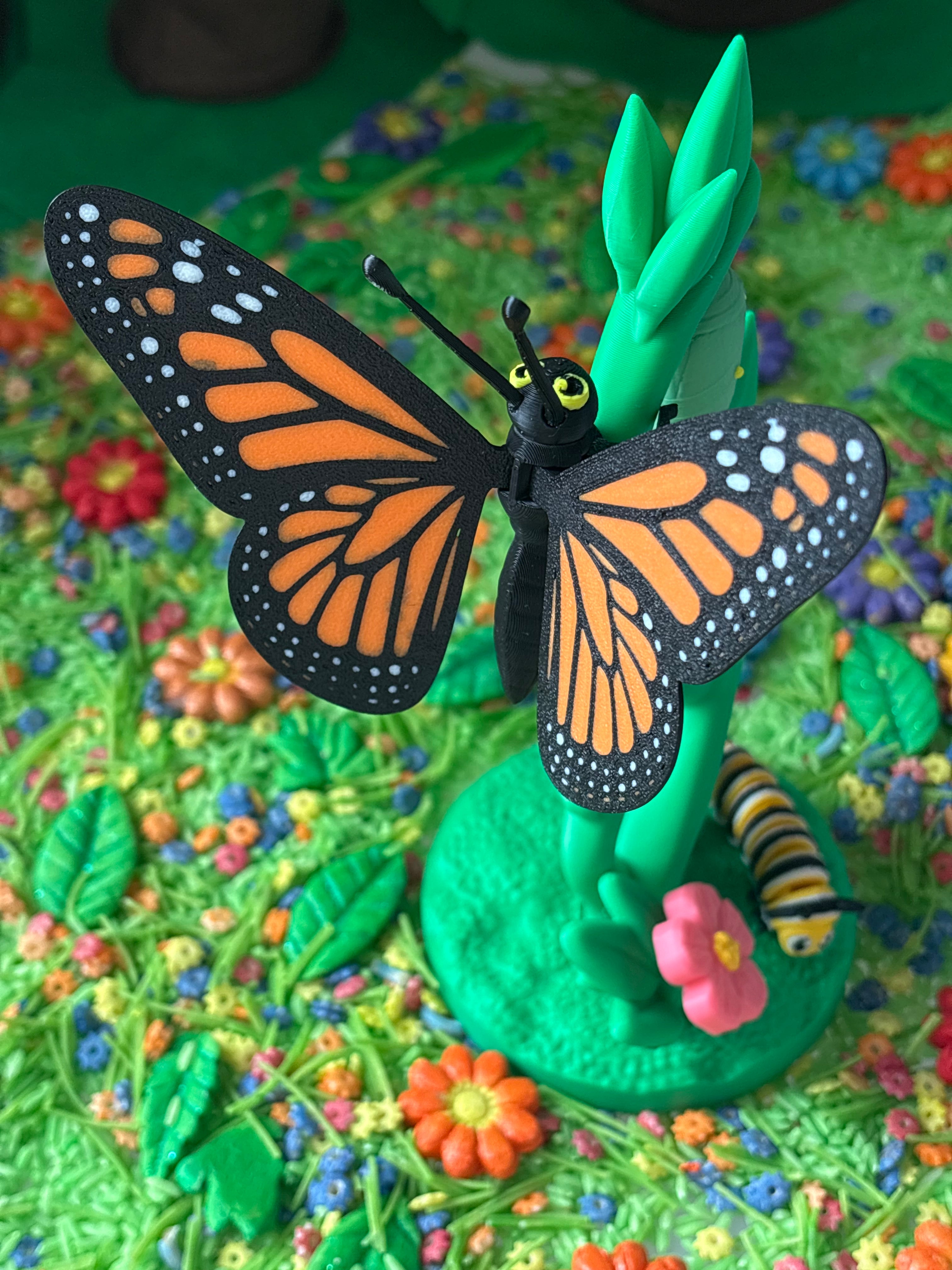 Monarch Butterfly life cycle and habitat