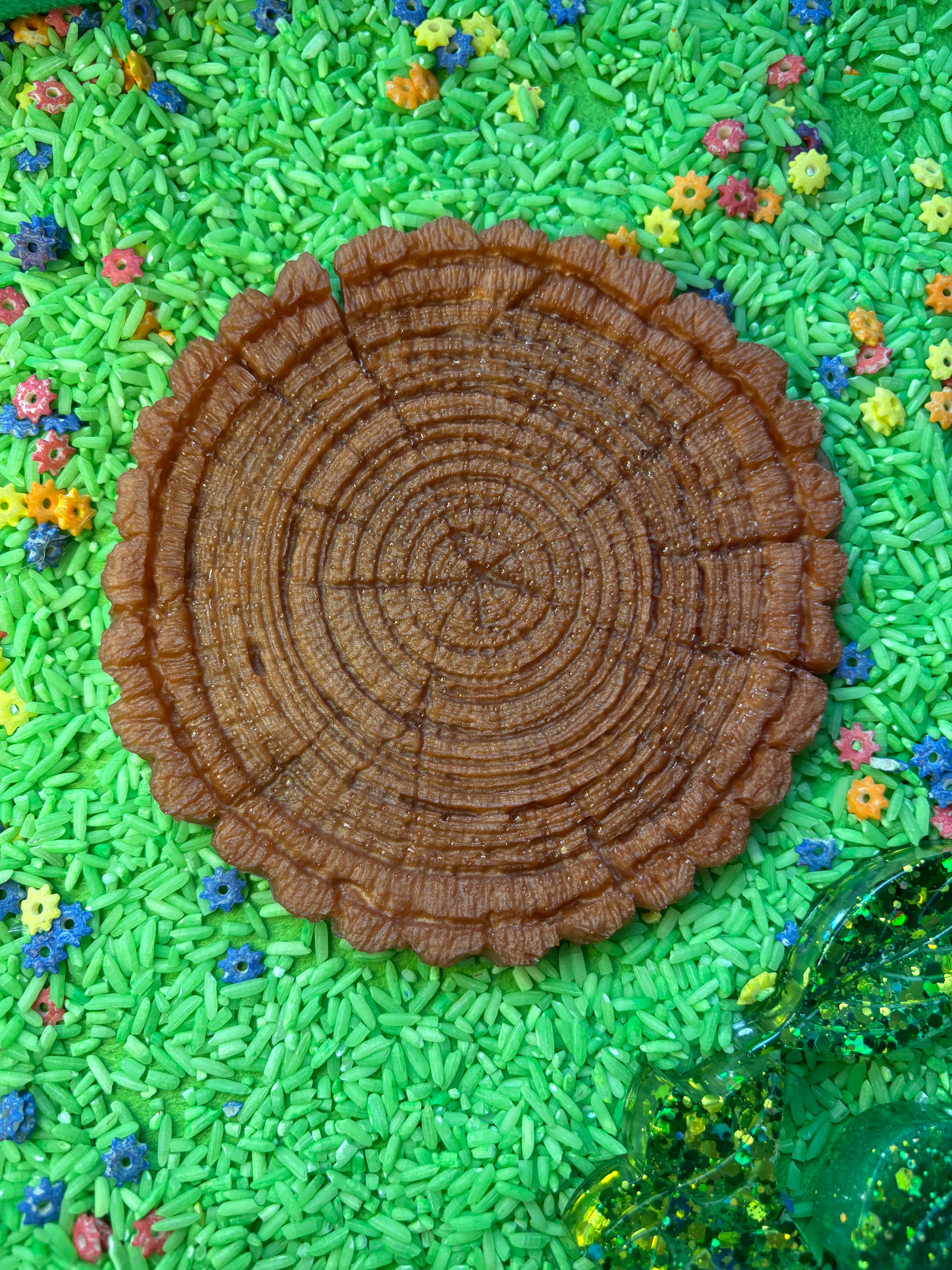 Tree stumps and leaves
