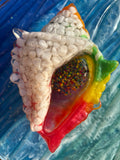XXL shells