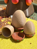 Egg in a nest