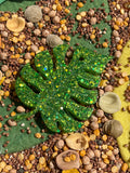 Monstera leaf