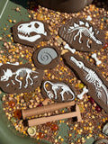 Dino fossils