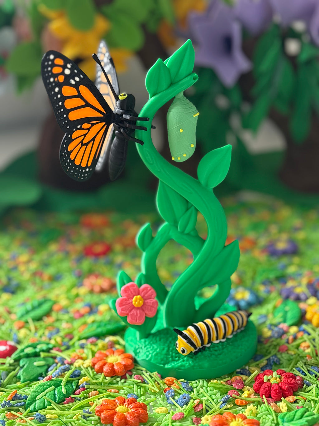 Monarch Butterfly life cycle and habitat