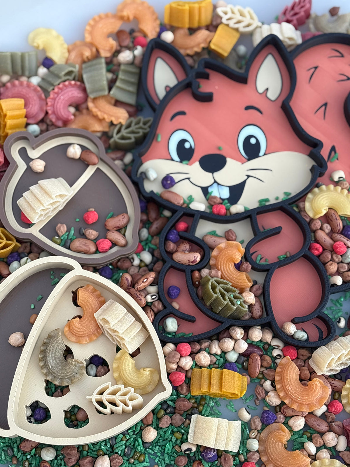 The Little squirrel’s acorn counting box