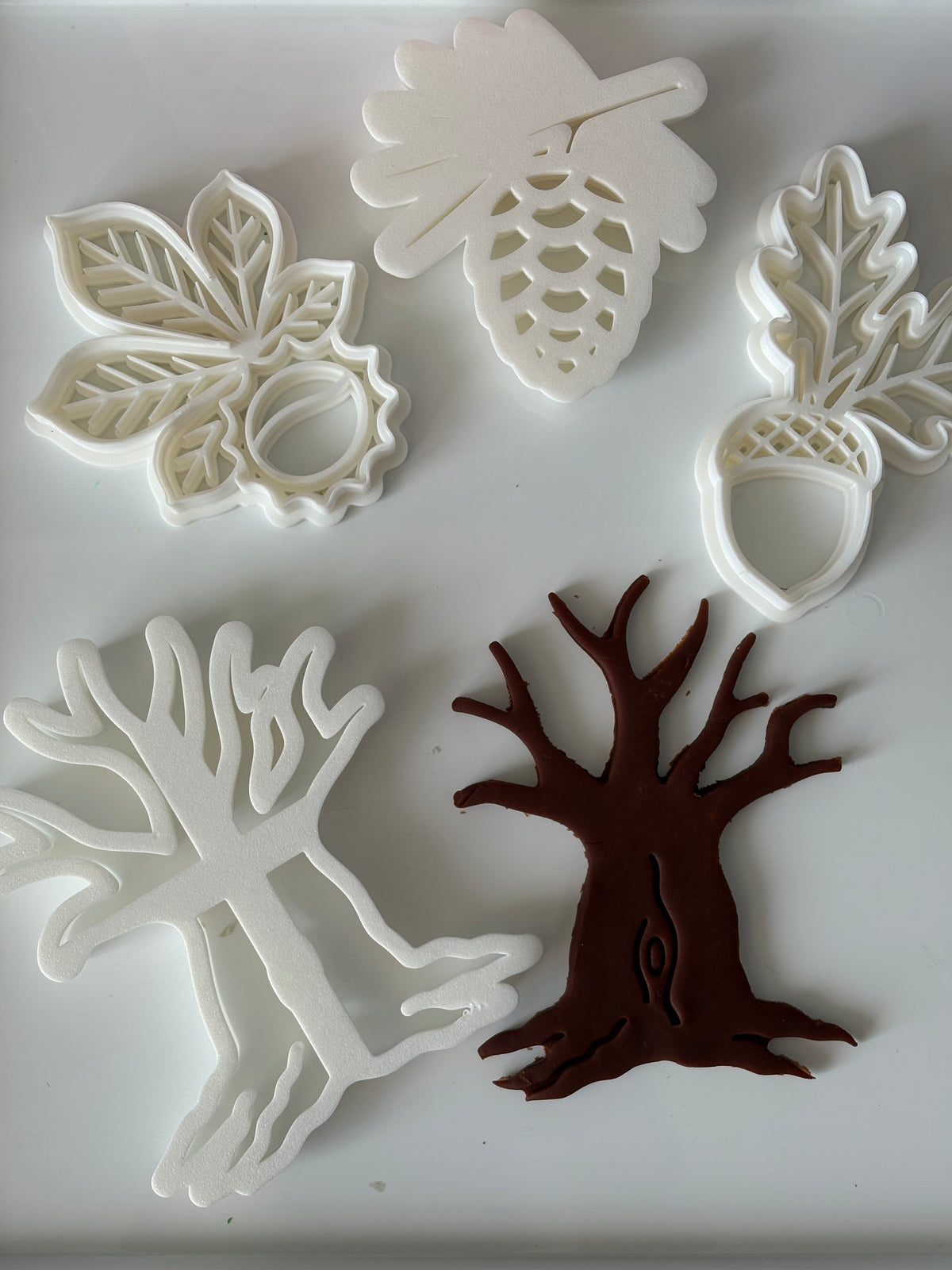 Leaves with seeds / tree trunk