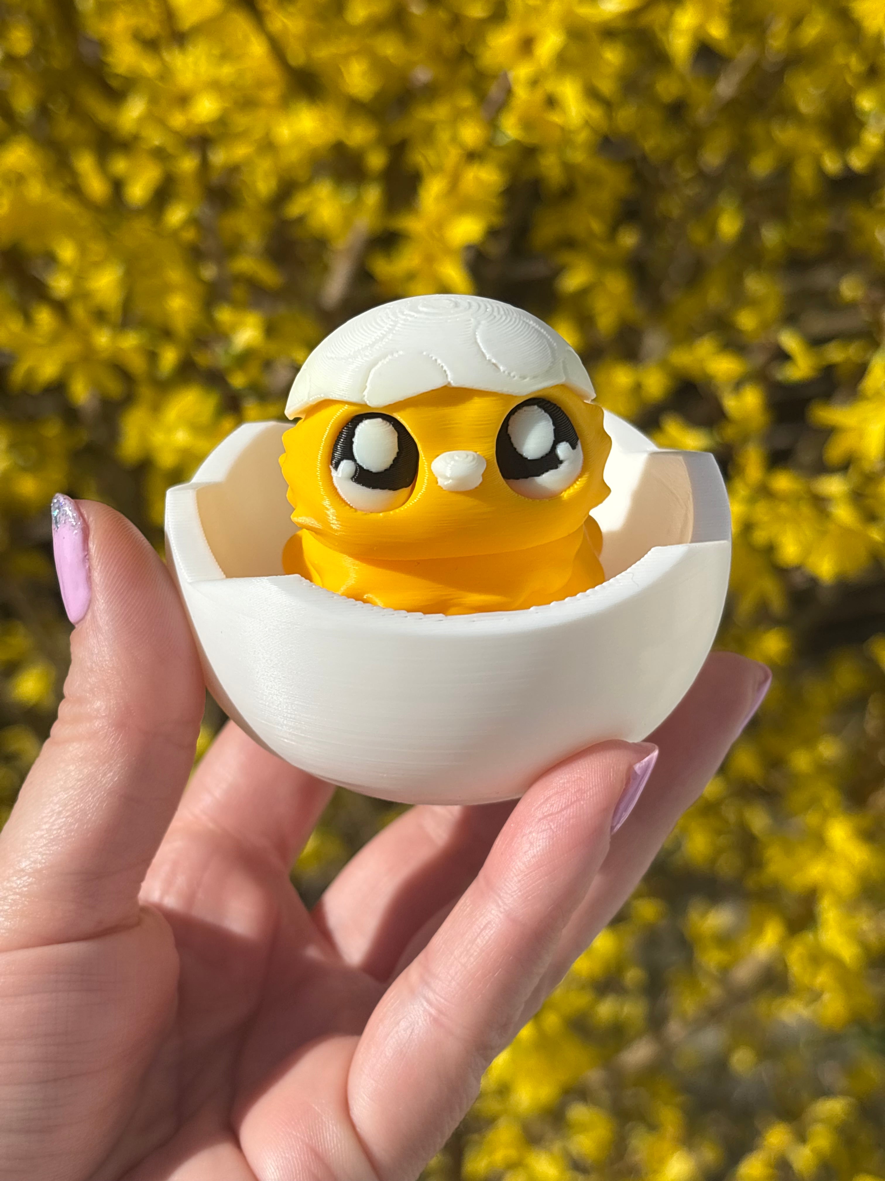 Chick and an egg shell