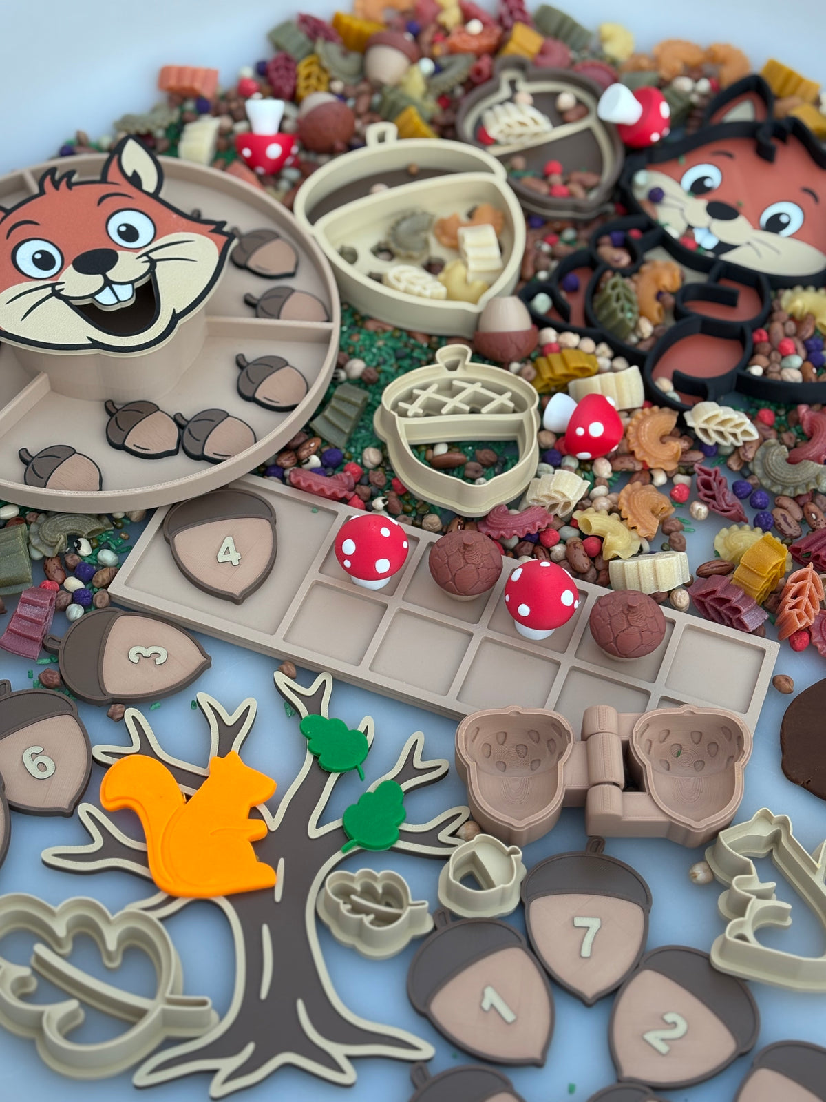 The Little squirrel’s acorn counting box