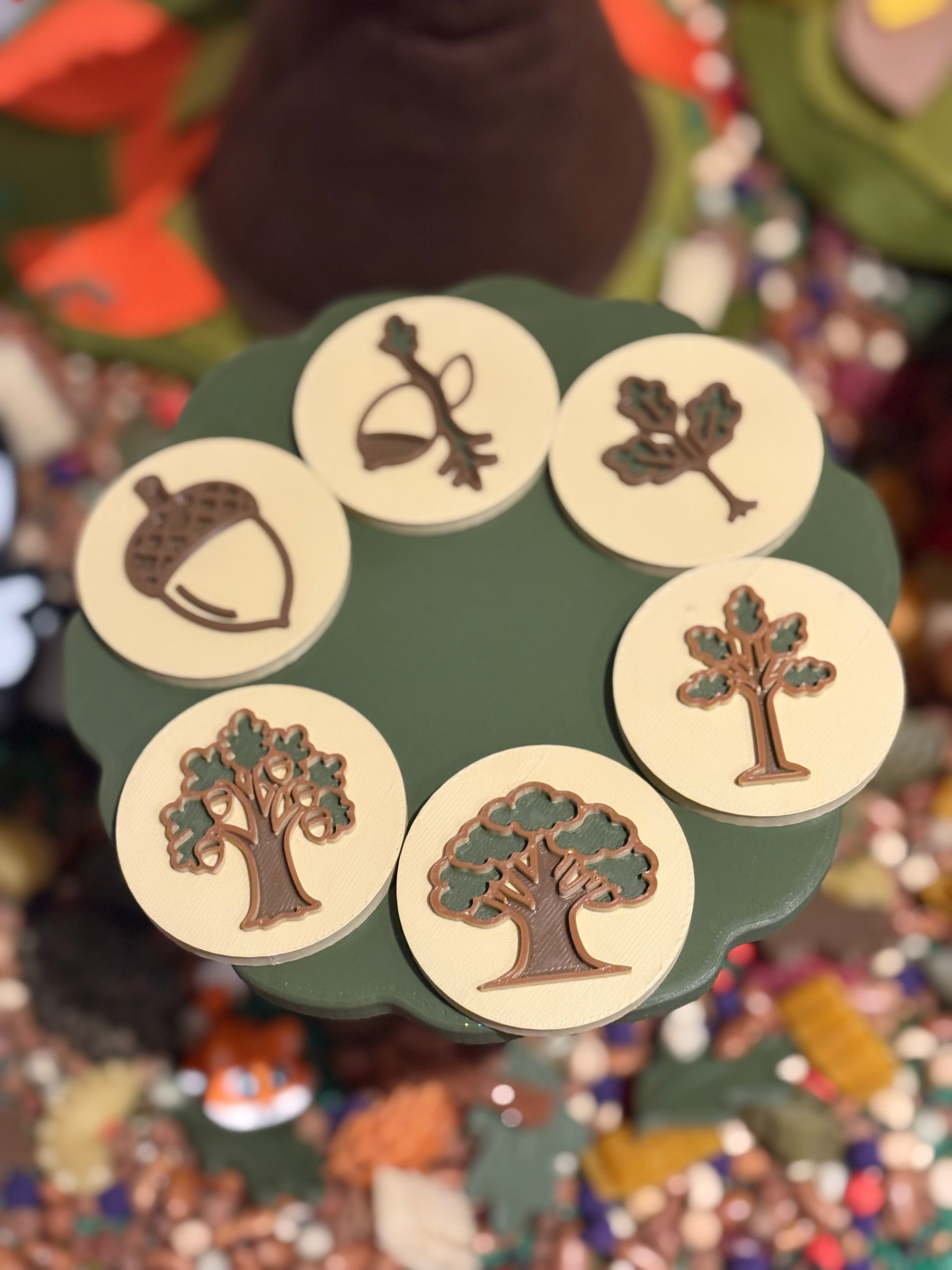 The life cycle of an oak tree discs