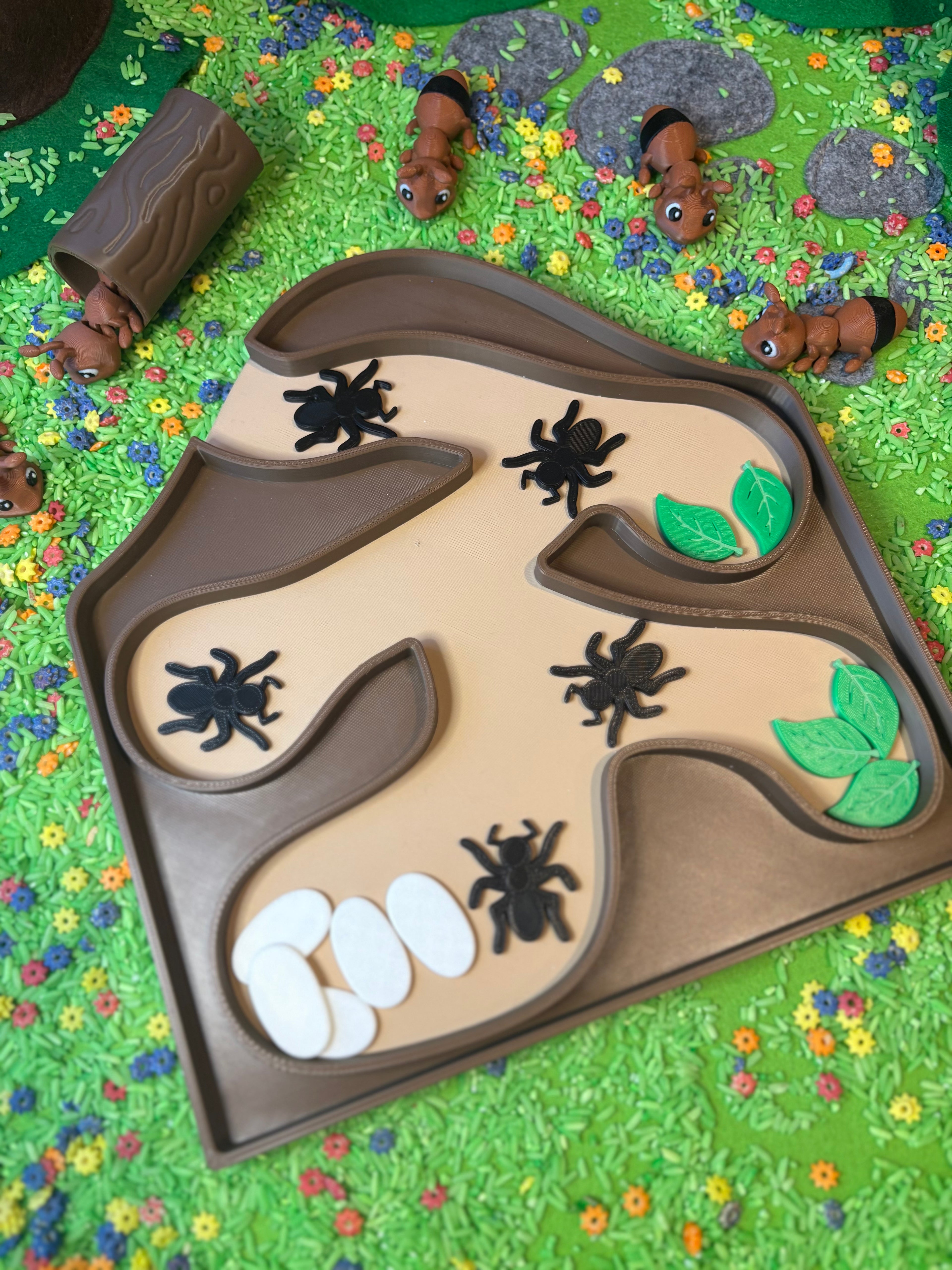 Anthill tray