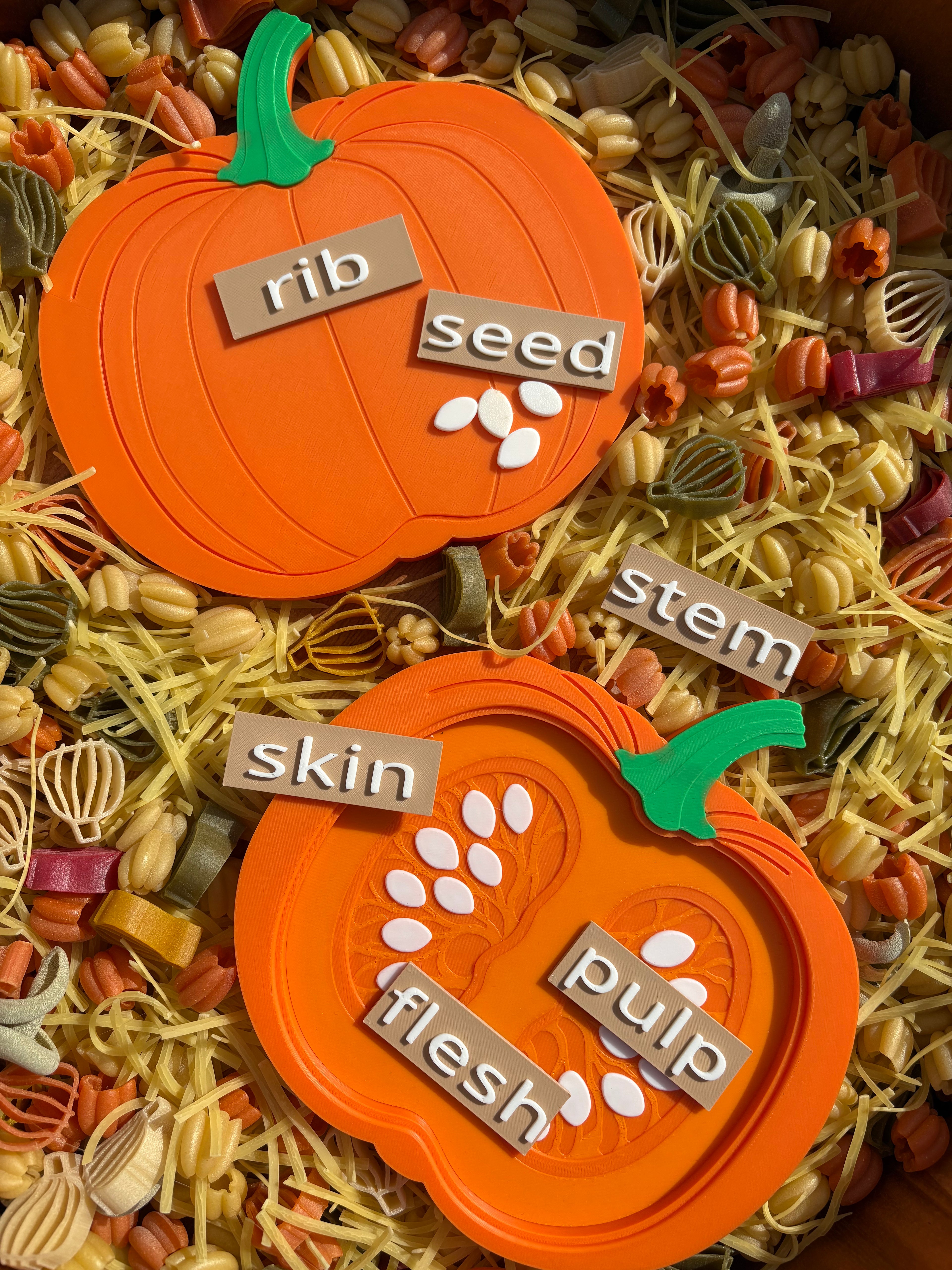 Pumpkin cross section tray + labels
