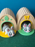 Bunny and a hutch